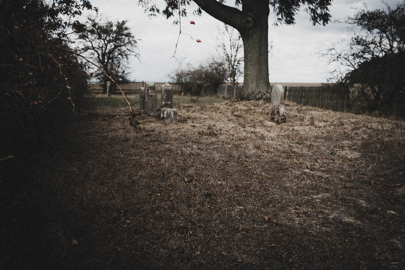 Bühne (Borgentreich), Jüdischer Friedhof